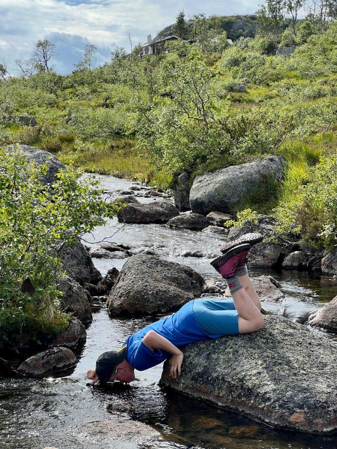 Flott Leilighet Pa Haugen I Sirdal Tjorhom Zewnętrze zdjęcie